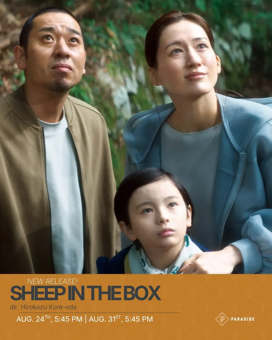 Sheep in the Box