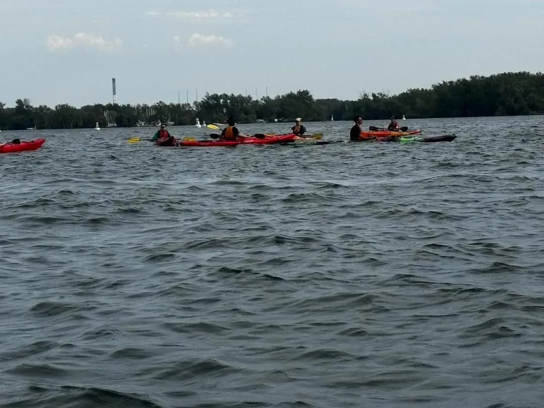 Social Paddle