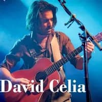 David Celia & Co